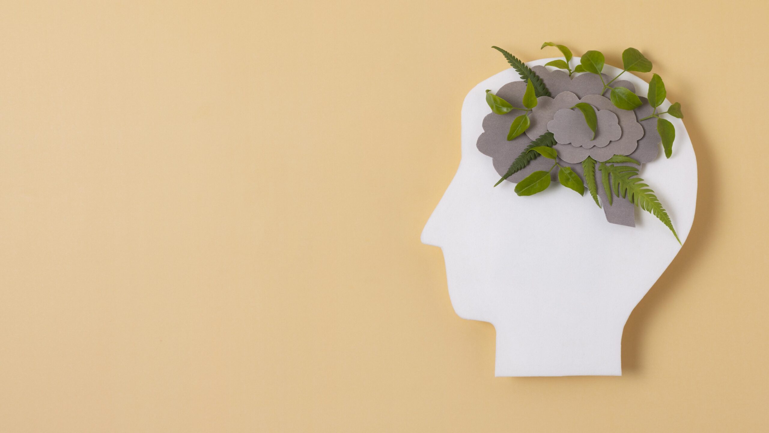 Sănătatea Mintală: Cum Să O Prioritizăm în Lumea Modernă